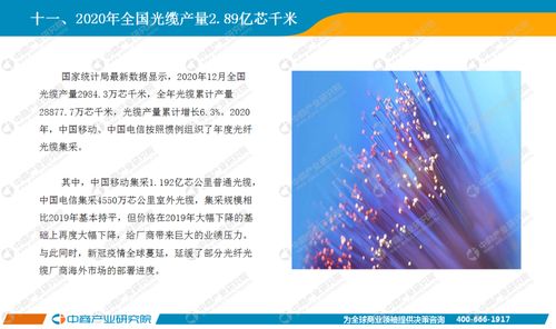 基础电信业务 信息社会的基石与未来发展路径